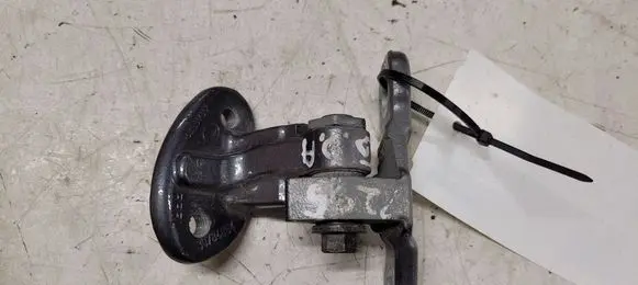 Volvo S40 Rear door lower hinge
