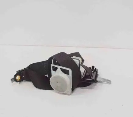Dodge Challenger Middle seatbelt (rear) 2450810