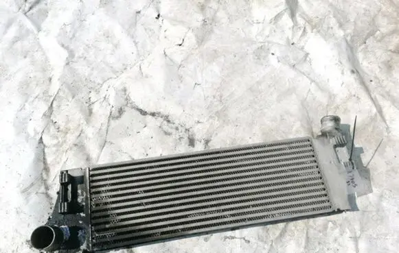Renault Megane II Intercooler radiator 8200700172 R4851001