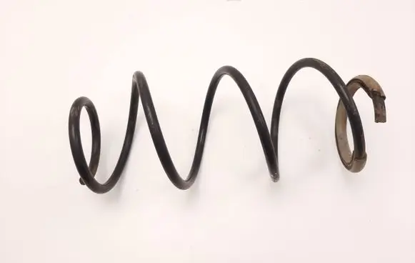 Front coil spring