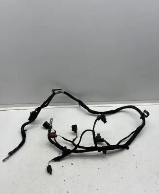 Volkswagen Golf VIII Other wiring loom 5WA971230ET TAB016331BQ