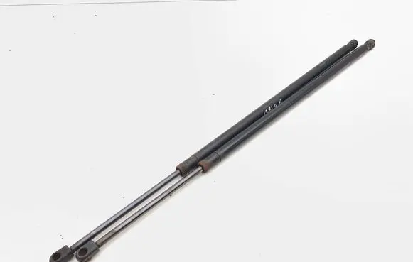 Tailgate/trunk strut/damper