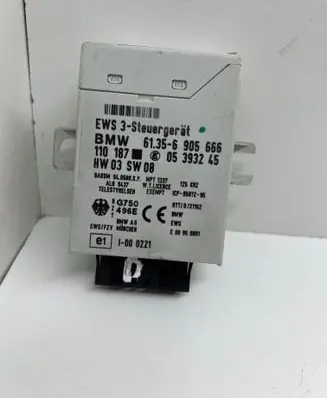 BMW 5 E39 Immobilizer control unit/module 61356905666 05393245
