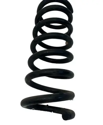 Ford Fusion II Rear coil spring