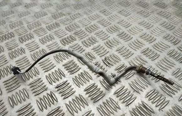 Volvo XC60 Exhaust gas temperature sensor 31319842