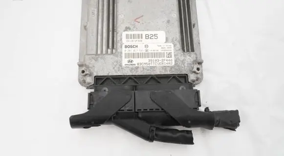 Hyundai Santa Fe Engine control unit/module 391032F440 0281017541