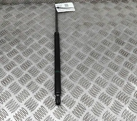 Chevrolet TrailBlazer Tailgate/trunk strut/damper 15120903