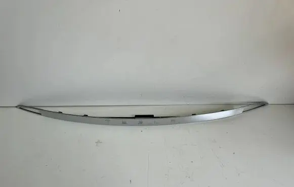 Tesla Model S Tailgate trim 100885600C