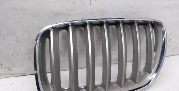 BMW X5 E53 Front bumper upper radiator grill 7124815 10627110
