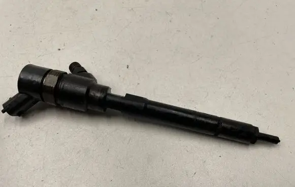 KIA Carens II Fuel injector 0445110064