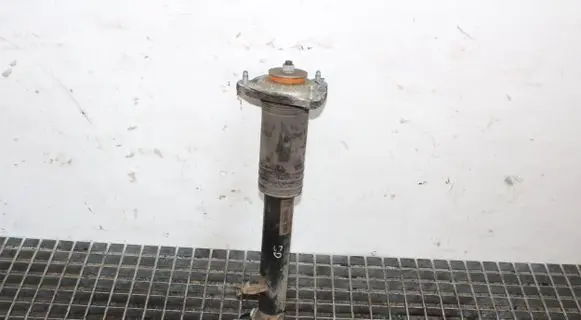 BMW X5 E70 Rear shock absorber/damper 6782878