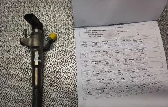 Renault Master III Fuel injector 166000372R