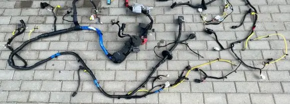 KIA EV6 Panel wiring 91513CV151 915V0CV160