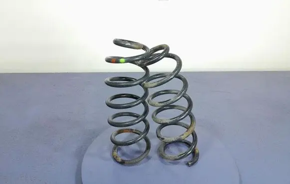 Rear coil spring