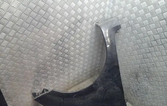 Renault Modus Fender