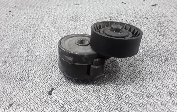 Peugeot 406 Generator/alternator belt tensioner
