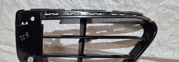 BMW X1 F48 F49 Front bumper lower grill