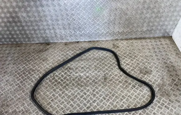 BMW X3 G01 Rear door rubber seal (on body) 7393449