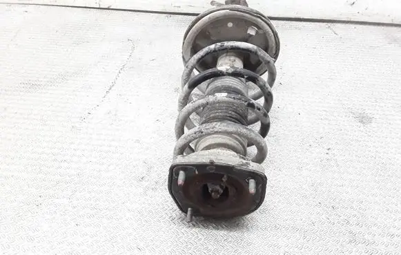 Hyundai Tucson JM Rear shock absorber with coil spring 