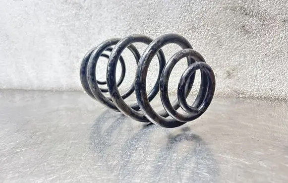 Opel Vectra C Rear coil spring