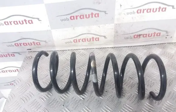Rear coil spring