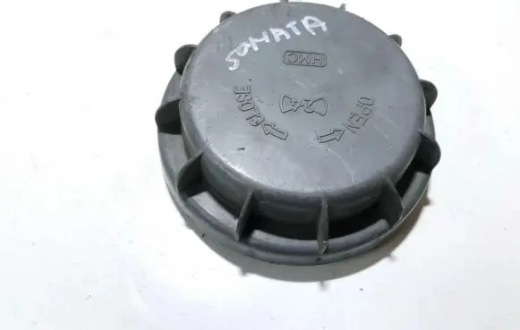 Headlight/headlamp dust cover