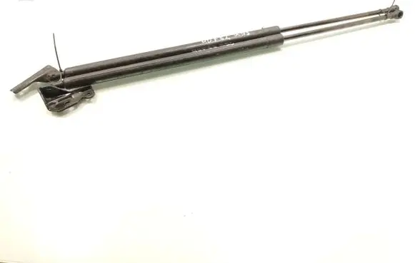 Renault Scenic III - Grand scenic III Tailgate/trunk strut/damper 904517337R