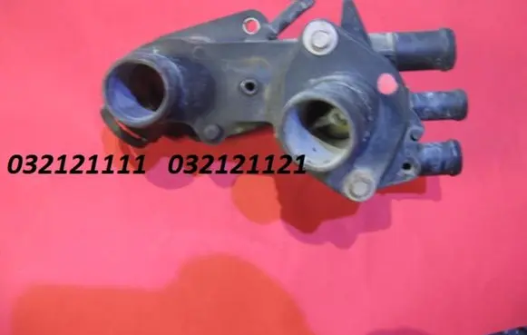 Thermostat/thermostat housing