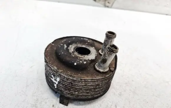 Nissan Primera Engine oil radiator 