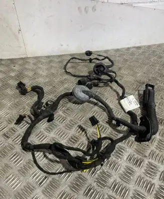 Audi A8 S8 D4 4H Front door wiring loom 4H0971030FC TAB010766SG