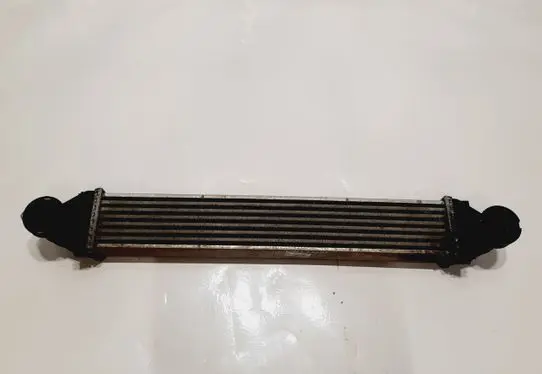 Mercedes-Benz A W169 Intercooler radiator A1695000900
