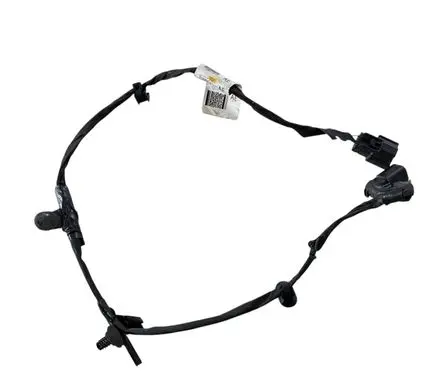 Other wiring loom