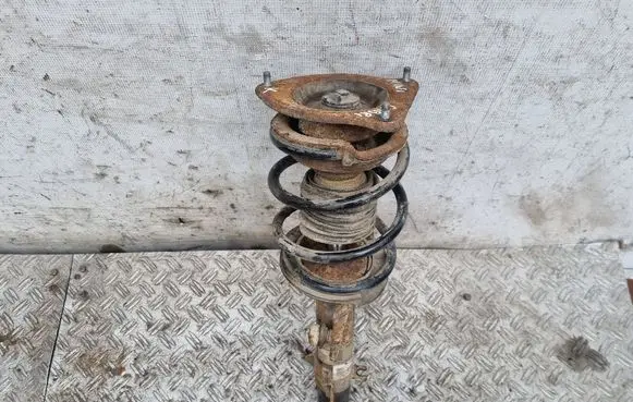 Mini One - Cooper Cabrio R52 Front shock absorber with coil spring 6763129 31316763129 22191281