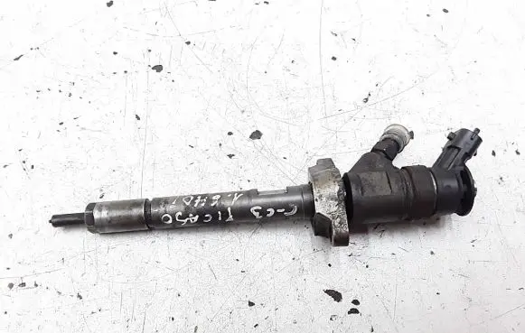 Citroen C3 Picasso Fuel injector 0445110311
