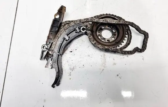 Ford Focus Timing chain (engine) 