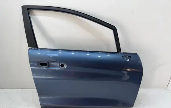 Ford Fiesta Front door