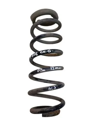 Rear coil spring