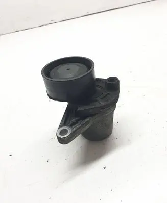 Nissan Qashqai Alternator belt tensioner 117505337R 65632