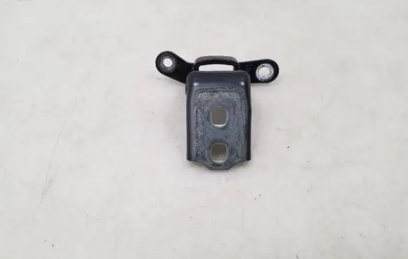 Opel Insignia A Rear door lower hinge