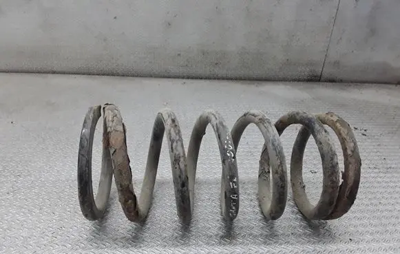 Hyundai Santa Fe Rear coil spring