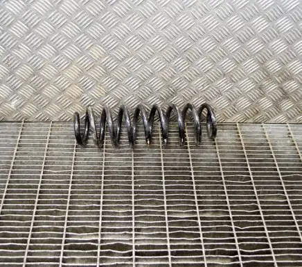 Toyota RAV 4 (XA50) Rear coil spring