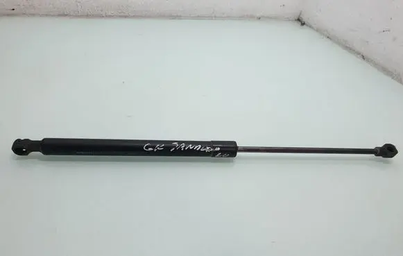 Dacia Sandero II Tailgate/trunk strut/damper 904529943R