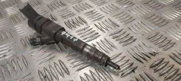 Renault Scenic I Fuel injector 8200100212 0445110110B
