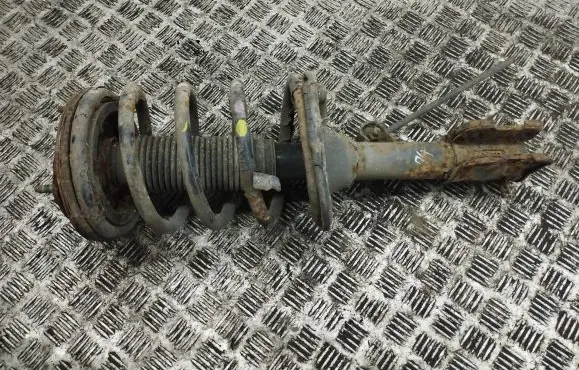 Hyundai Santa Fe Front shock absorber with coil spring