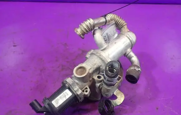 Suzuki Splash EGR valve