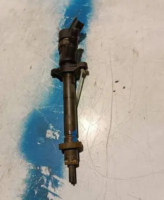 Citroen Xsara Picasso Fuel injector 0445110259