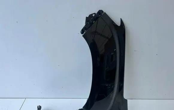 Dacia Duster Fender