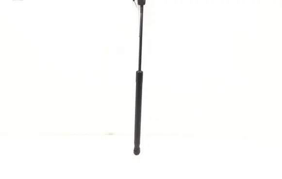 Opel Astra H Tailgate strut 244638290512