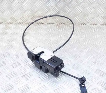 Tesla Model S Coupe door lock (next to the handle) 