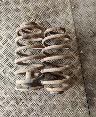 Rear coil spring